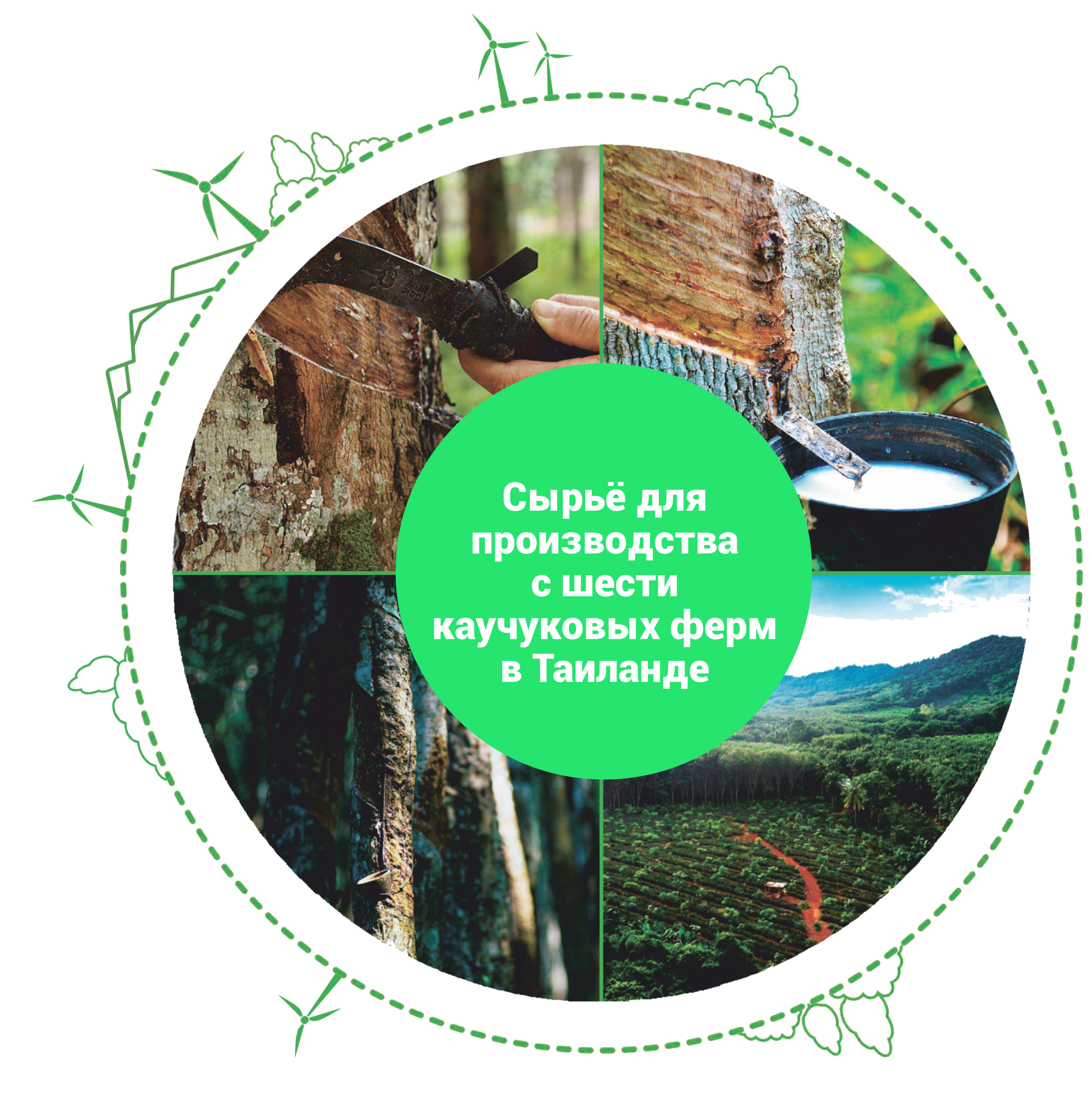 Натуральный каучук